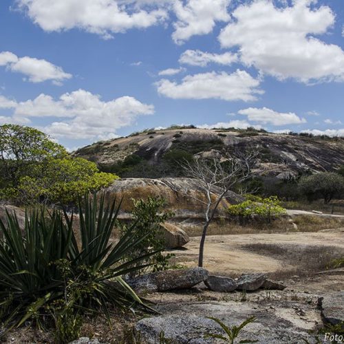 Governo Federal reconhece situação de emergência em Pocinhos devido à estiagem